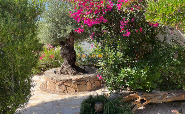 WhatsApp Bild 2025-10-05 um 19.52.30_d7919393