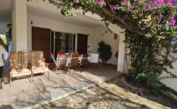 WhatsApp Image 2026-02-06 at 15.45.52