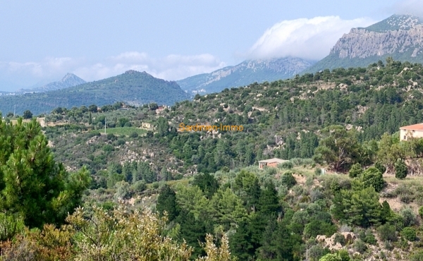 Aussicht Richtung Dorgali von der obersten Terrasse im Wald